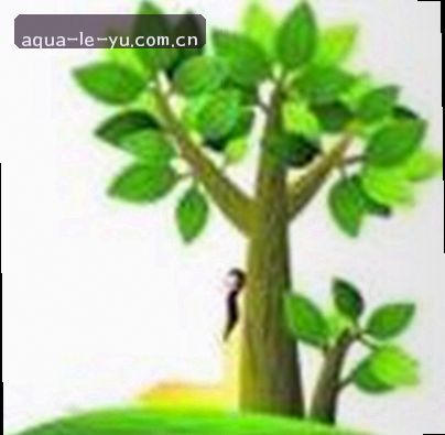赵敏