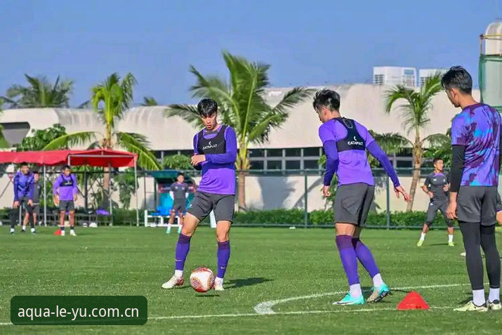 乐鱼体育平台完整指南：从版本更新到赛事追踪的深度解析