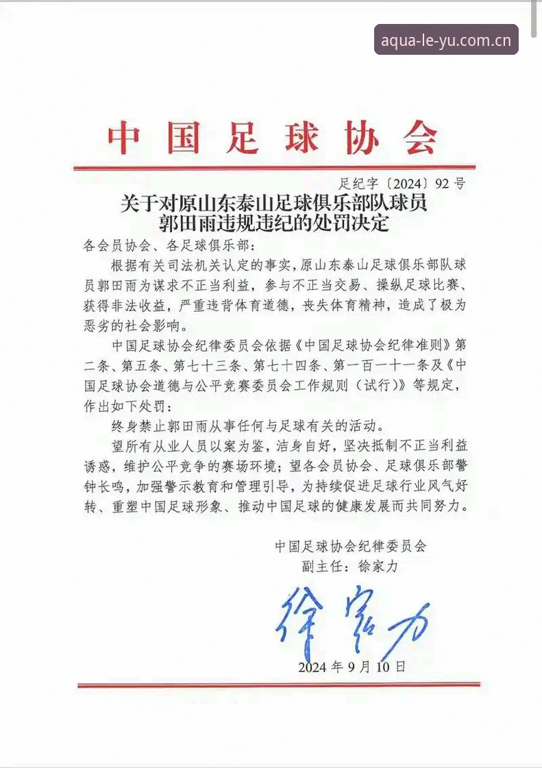 揭秘足协第三批禁足名单背后的足球生态重构真相